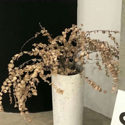 兽设海洋元素设计福瑞群